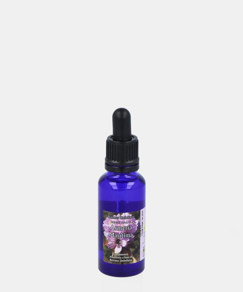 Armeria Marítima® 15 ml.