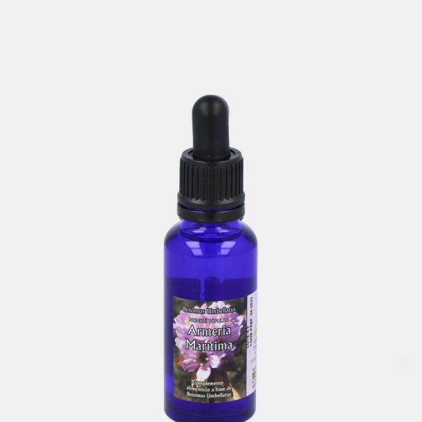 Armeria Marítima® 30 ml.