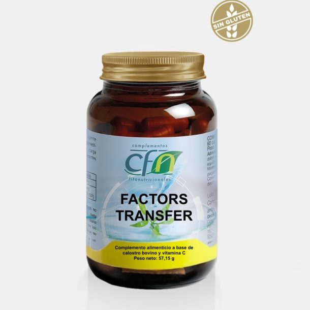 Factors Transfer