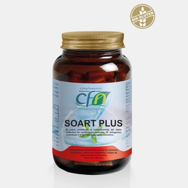 Soart Plus