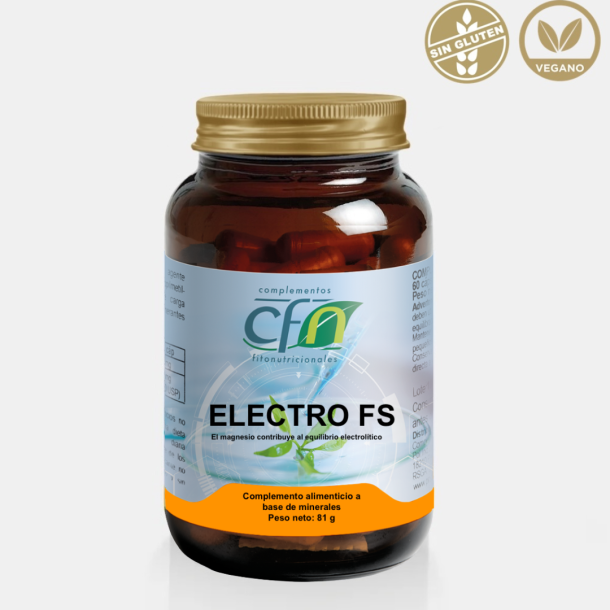 Electro FS