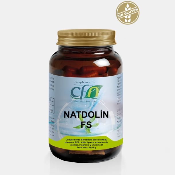 Natdolín FS