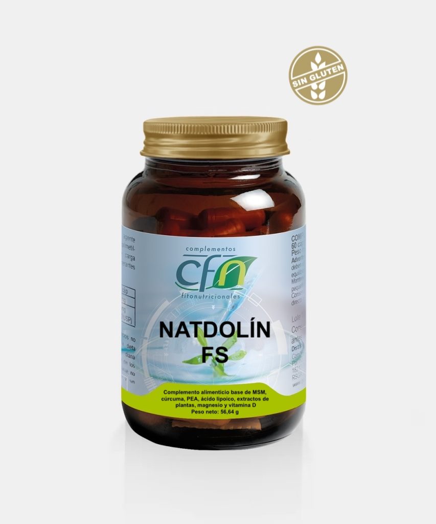 Natdolín FS