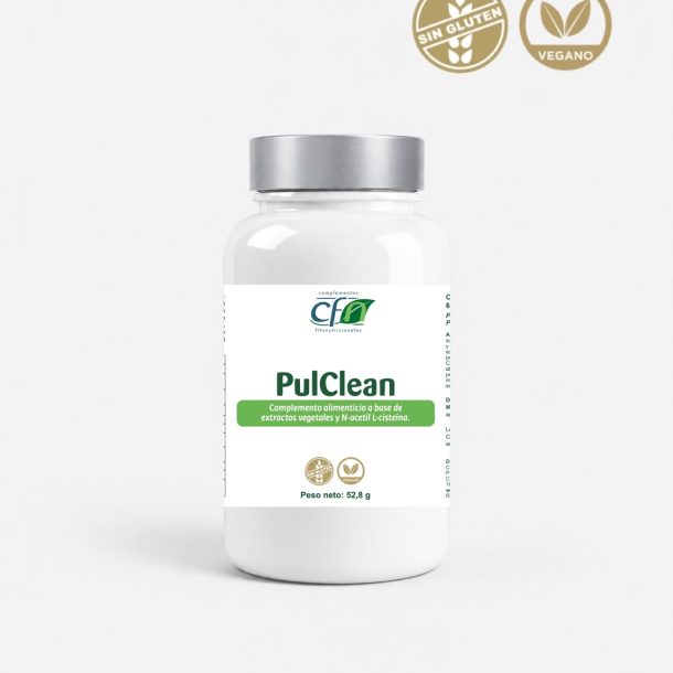 Pulclean