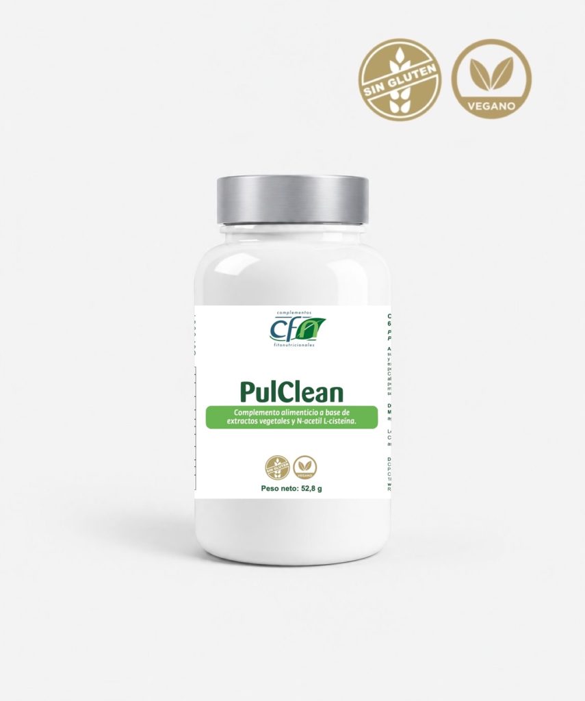 Pulclean
